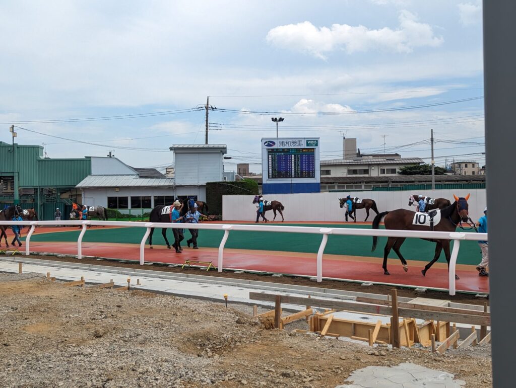 浦和競馬のパドック