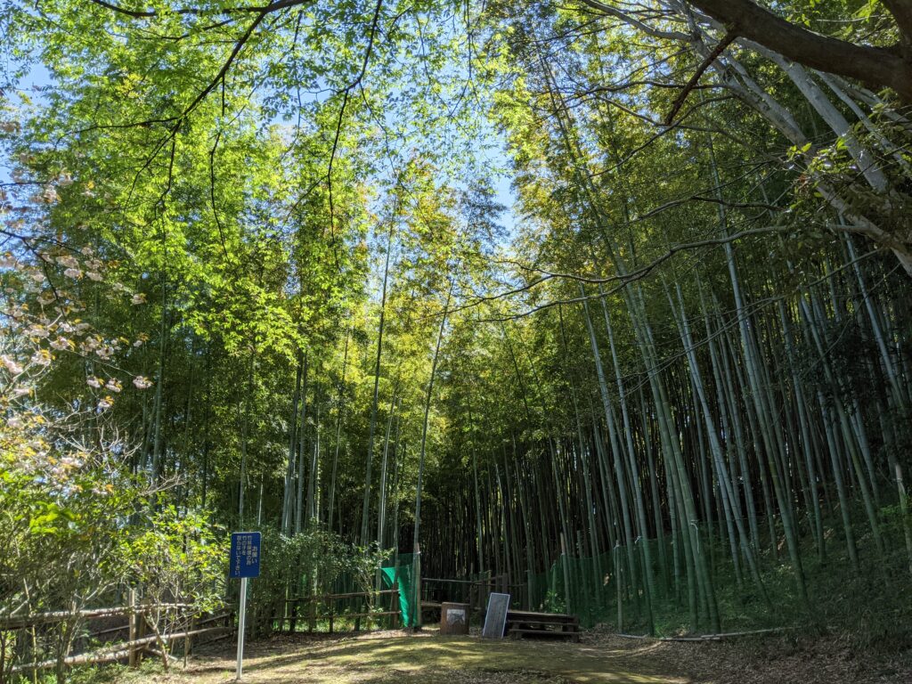 見沼通船堀公園